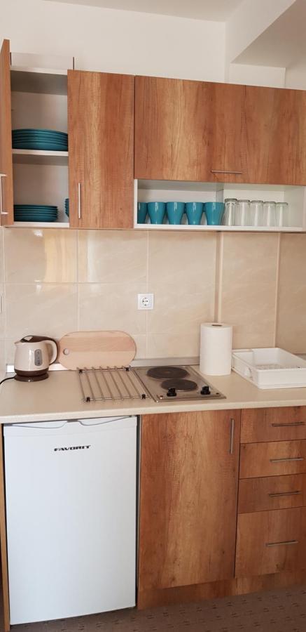 Dobricin Konak, Apartman 202 Копаоник Екстериор снимка