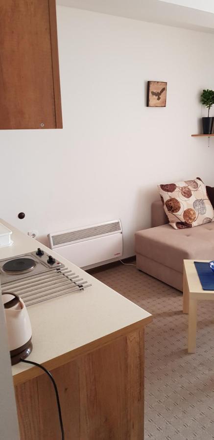 Dobricin Konak, Apartman 202 Копаоник Екстериор снимка
